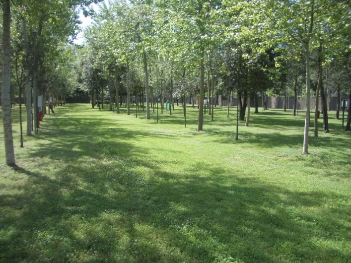 zobacz camping - zdjęcie 9