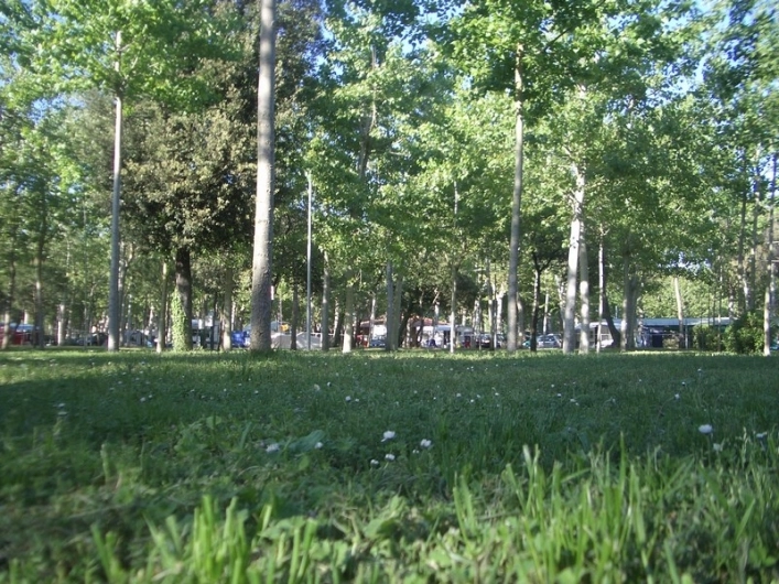 zobacz camping - zdjęcie 4