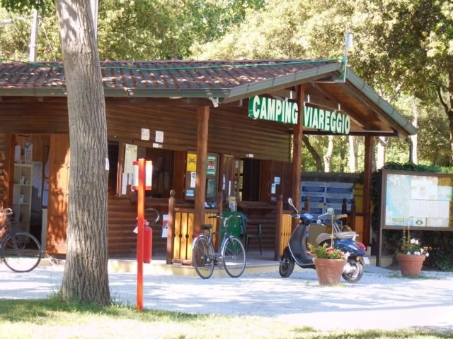 Camping Viareggio - zdjęcie 1