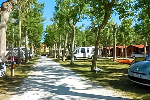Camping Viareggio