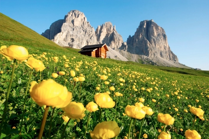 zobacz camping - zdjęcie 35