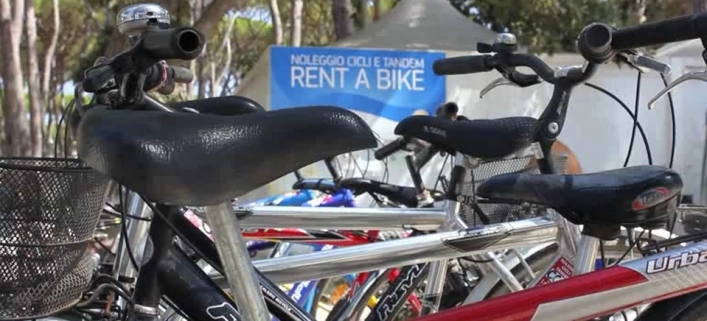 zobacz camping - zdjęcie 25