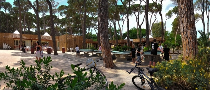 zobacz camping - zdjęcie 7