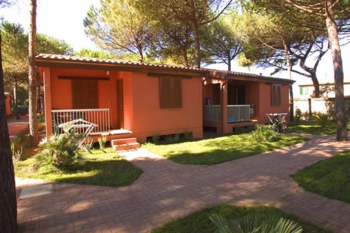 zobacz camping - zdjęcie 30