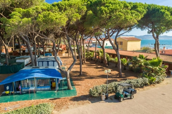 zobacz camping - zdjęcie 26