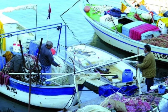 zobacz camping - zdjęcie 15