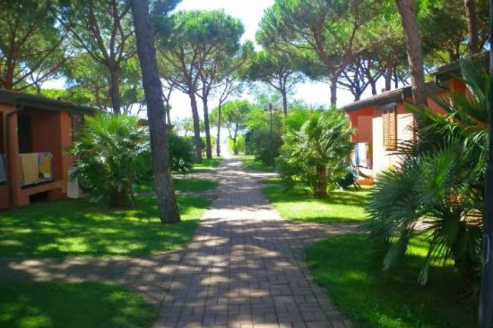 zobacz camping - zdjęcie 6