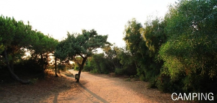 zobacz camping - zdjęcie 28