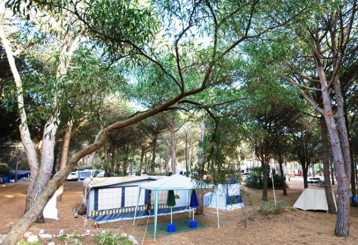 zobacz camping - zdjęcie 24