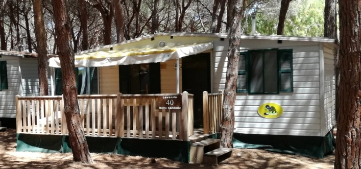 zobacz camping - zdjęcie 23