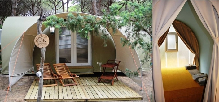 zobacz camping - zdjęcie 21