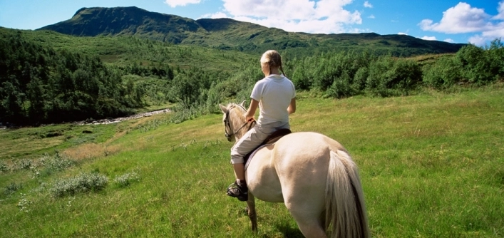 zobacz camping - zdjęcie 20