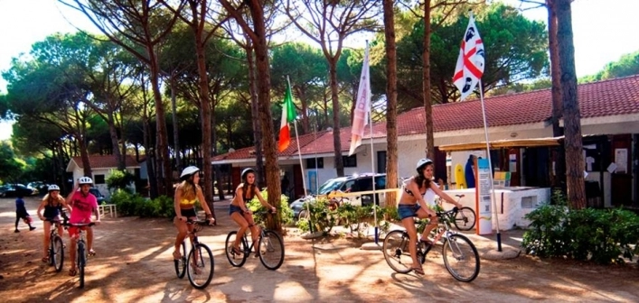 zobacz camping - zdjęcie 18