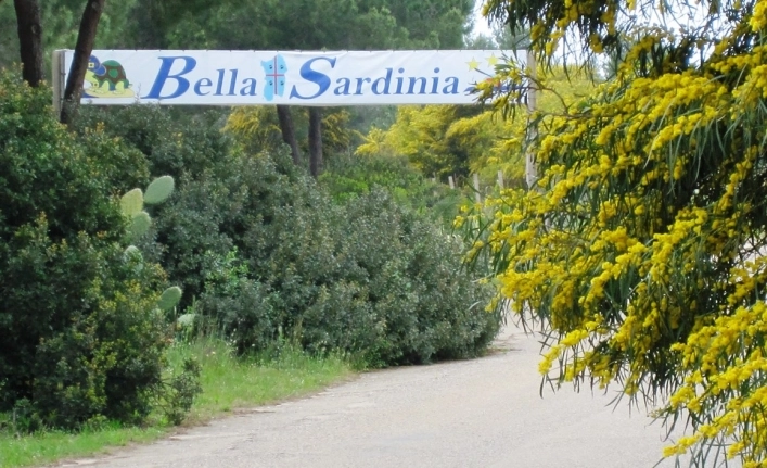 zobacz camping - zdjęcie 12