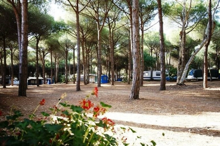 zobacz camping - zdjęcie 6