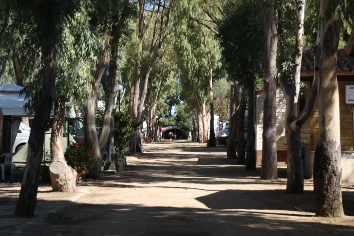 zobacz camping - zdjęcie 24