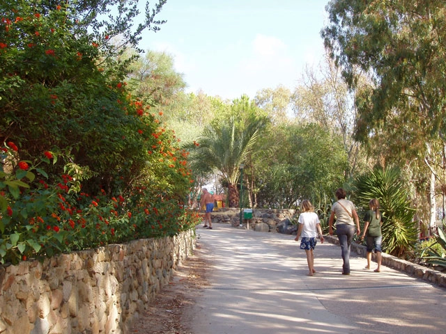 zobacz camping - zdjęcie 20