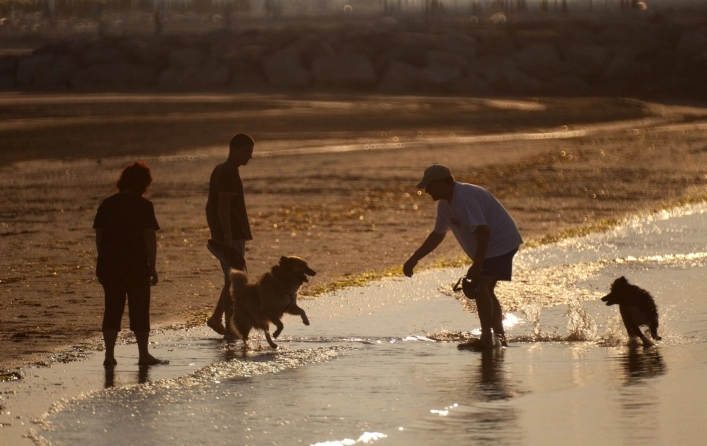 zobacz camping - zdjęcie 18
