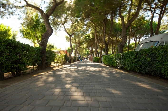 zobacz camping - zdjęcie 14