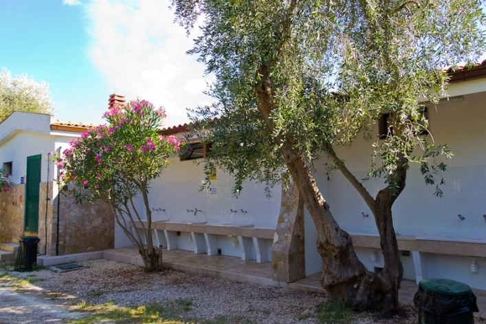 zobacz camping - zdjęcie 42