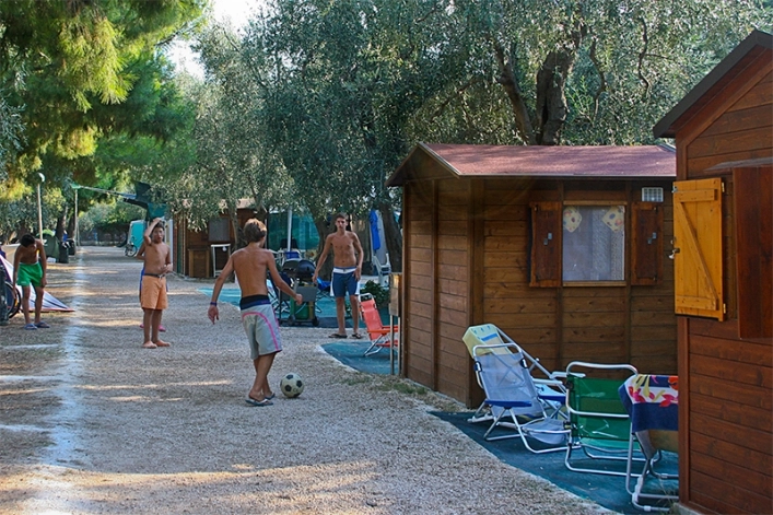 zobacz camping - zdjęcie 29