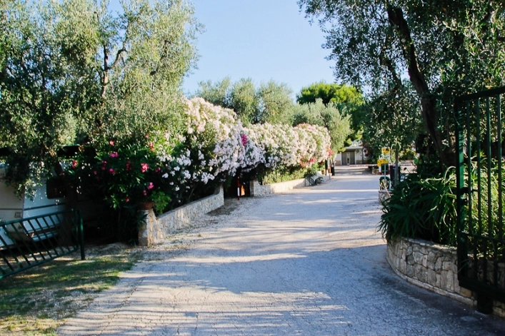 zobacz camping - zdjęcie 24