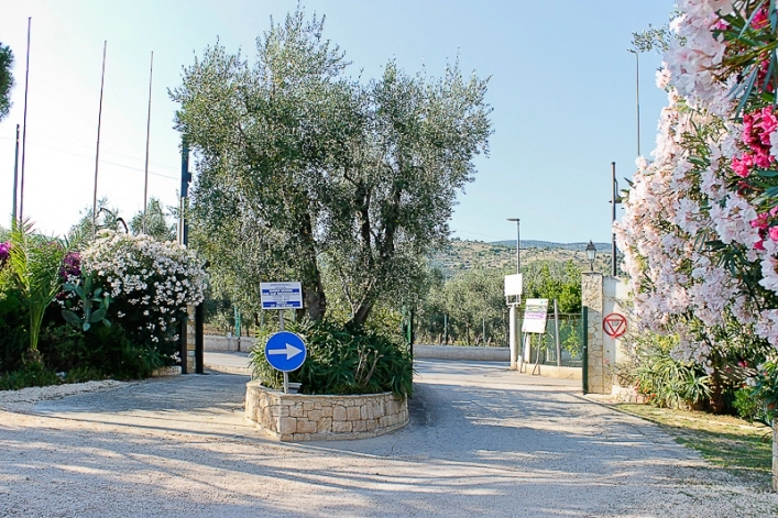 zobacz camping - zdjęcie 14