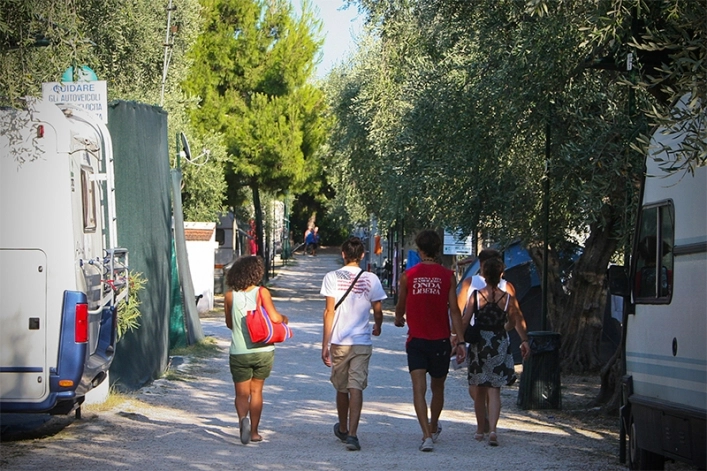 zobacz camping - zdjęcie 12