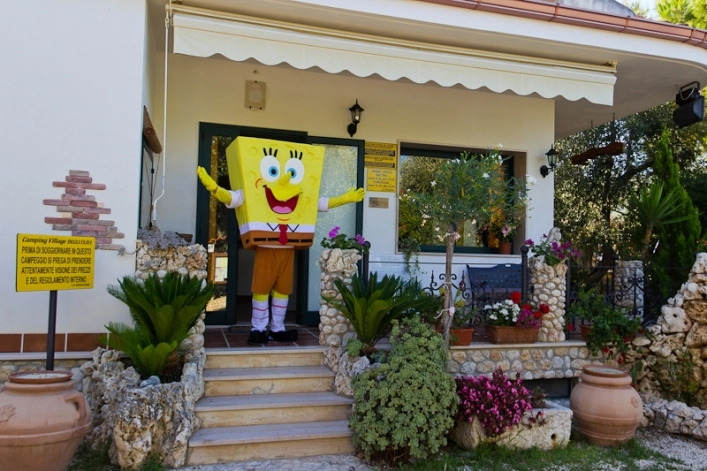 zobacz camping - zdjęcie 8