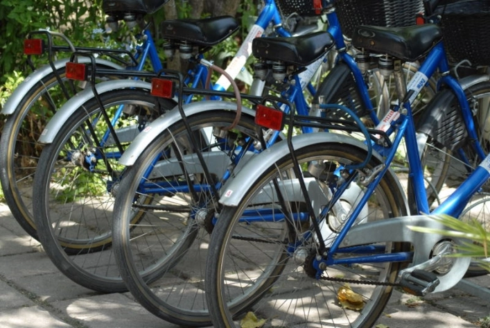 zobacz camping - zdjęcie 48