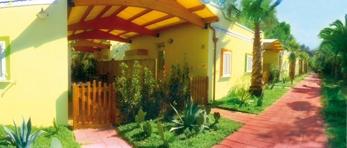 zobacz camping - zdjęcie 34