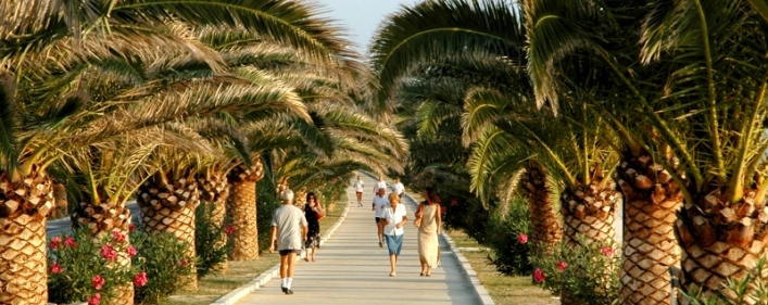 zobacz camping - zdjęcie 32