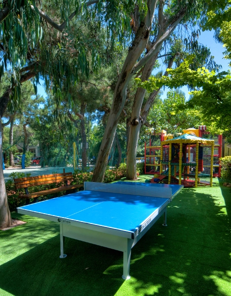 zobacz camping - zdjęcie 30