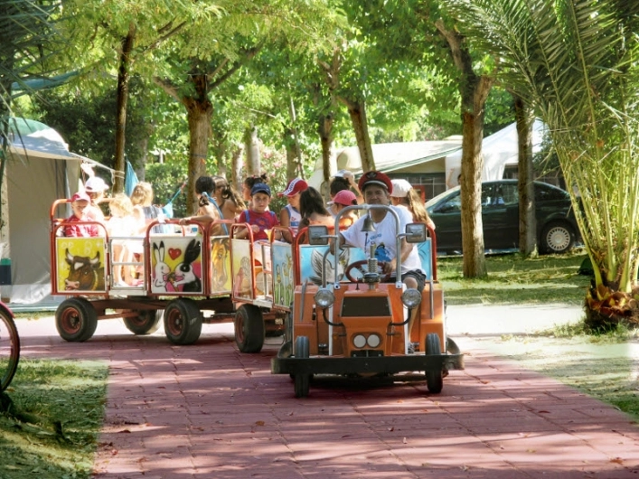 zobacz camping - zdjęcie 23