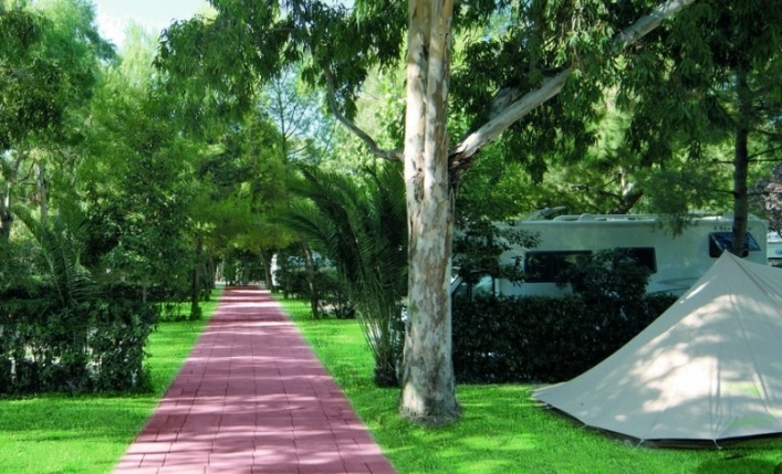 zobacz camping - zdjęcie 1
