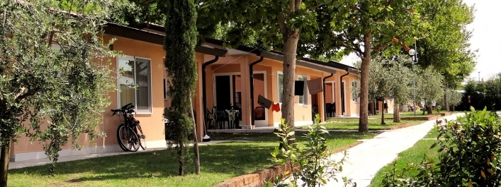 zobacz camping - zdjęcie 4