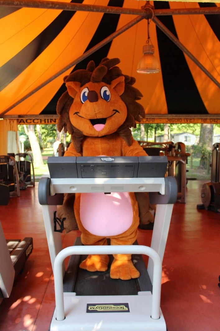 zobacz camping - zdjęcie 30