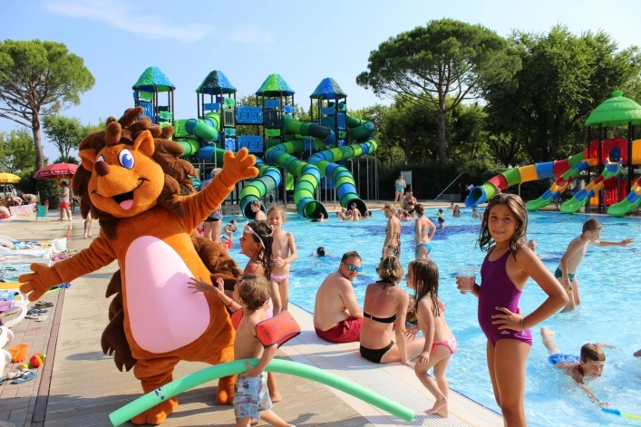 zobacz camping - zdjęcie 25