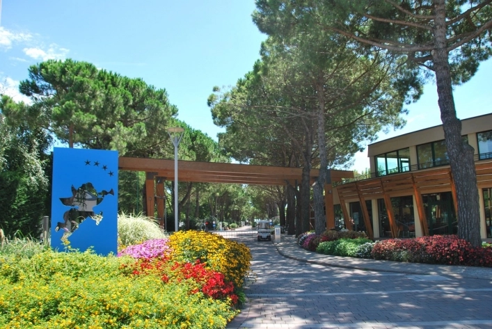 zobacz camping - zdjęcie 23