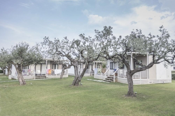 zobacz camping - zdjęcie 35