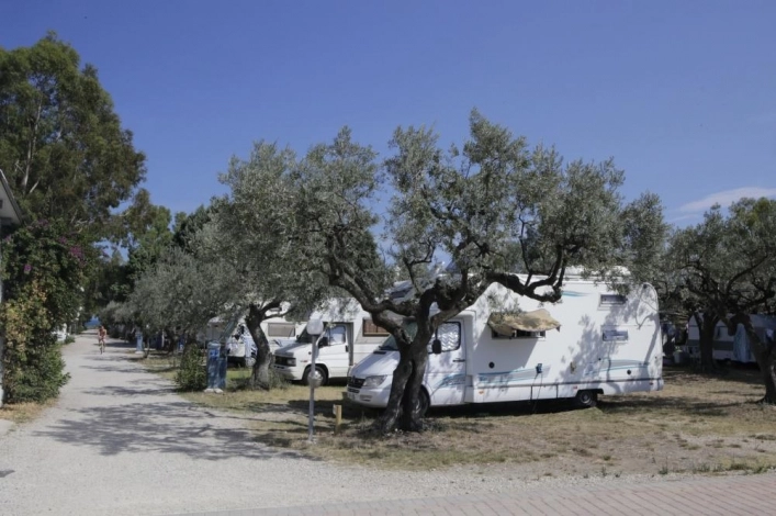 zobacz camping - zdjęcie 33