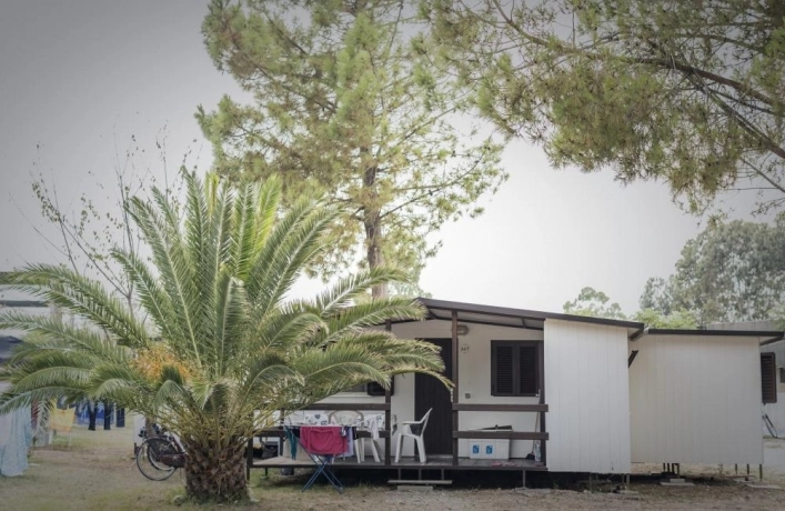 zobacz camping - zdjęcie 30