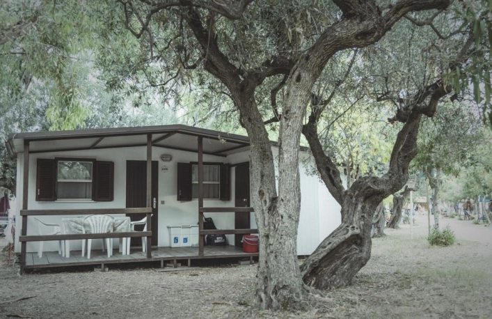 zobacz camping - zdjęcie 21