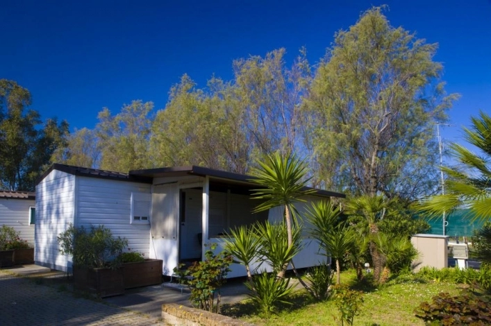 zobacz camping - zdjęcie 15