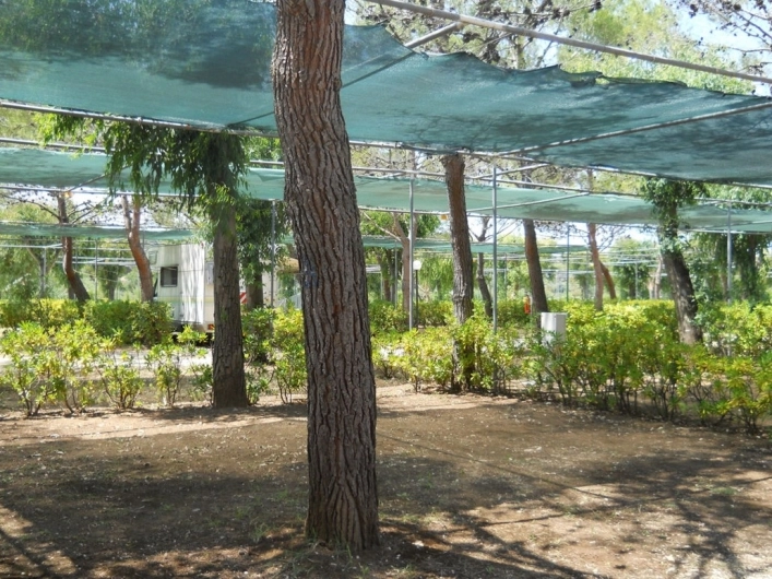 zobacz camping - zdjęcie 17