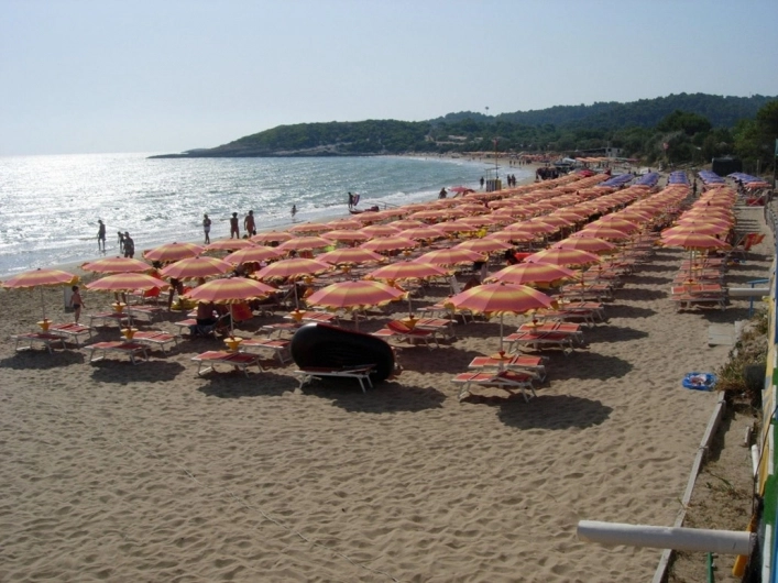 zobacz camping - zdjęcie 15