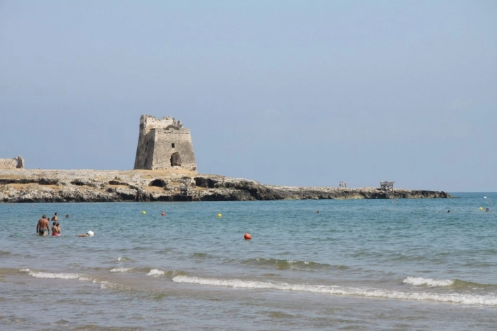 zobacz camping - zdjęcie 14