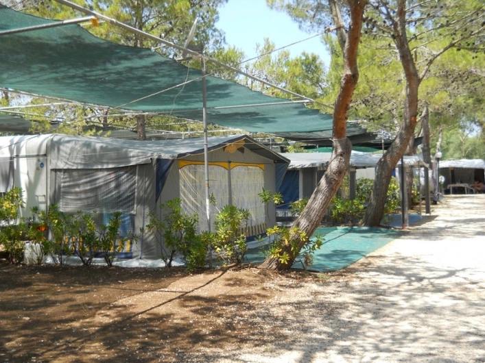 zobacz camping - zdjęcie 9
