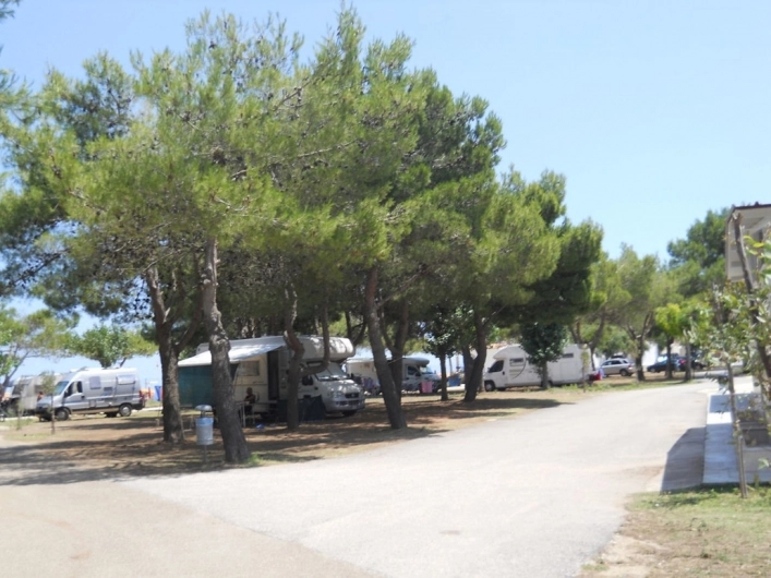 zobacz camping - zdjęcie 8