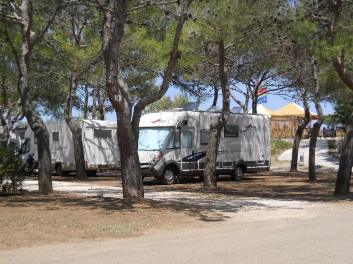 zobacz camping - zdjęcie 6